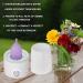 Mottery Menstrual Cup Steamer Machine - High Temperature 99.9% Dirty Removal in 8 Minutes - Leak-Free Feminine Hygiene Solution (Model Five) - Buy Online on GoSupps.com