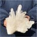 Natural Crystal Rough Crystal Cluster Natural Transparent White Quartz Crystal Cluster Specimen (Size : 500-600g) - Buy Online on GoSupps.com