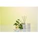 ESPA Energising Reed Diffuser 200ml | Refreshing Peppermint Eucalyptus & Rosemary | International Shipping Available - Buy Online on GoSupps.com