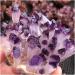 Hot Day Crystal Cluster Purple Crystal Processing from Home Collections - Buy Online on GoSupps.com