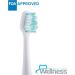 Wellness HP10TX Replacement Heads - 10 Pack for HP-STX Sonic Electric Toothbrush - Buy Online on GoSupps.com