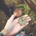 Vintage Pocket Watch Compass | Antique Brass Hinged Lid | Portable Outdoor Navigation for Backpacking Camping & Hiking - Buy Online on GoSupps.com