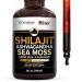 Dr.WellMe Shilajit Ashwagandha Sea Moss Safed Musli & Shatavari Liquid Drops 2 fl oz for Natural Energy Immune Boost Stress Relief Detox Joint & Muscle Health