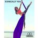 Orbsoul Aerial Silks & Yoga Hammock (Professional Grade) | Premium 100% Nylon Tricot Fabric | Full Rigging Hardware & Easy Set-up Guide | Crown Jewel - Buy Online on GoSupps.com