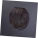 POPETPOP Piece Clip on Fringe Straight Flat Bangs Human Hair Extensions Bangs French Bangs Fringe Front Side Bangs Forehead Hair Extensions Wig with Bang Clip in Bangs Tassel Clip Air Bangs - Buy Online on GoSupps.com
