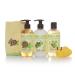 Little Twig Fragrance Free Gentle Care Baby Lotion Plus Bubble Bath Plus Baby Wash Plus Washcloth and Tub Toy Gift Set  2.18 Pound