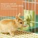 Rabbit Water Bottle 600ml/21oz Guinea Pig Water Bottle Non Drip Rabbit Water Feeder Free Standing Small Animal Water Bottle for Dog Cat Guinea Pig Rabbit Hamster and the Other Small Animals(Blue) - Buy Online on GoSupps.com