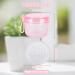 Didatool Large-Scale Prosthesis Box - Leak-Proof Pink Container for Dentures & Orthodontics - Buy Online on GoSupps.com