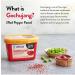 SPICEHUB Chung Jung One Sunchang Hot Pepper Paste Gold (Gochujang) 500g Brown Rice Red Pepper Paste (PACK OF 1) - Buy Online on GoSupps.com