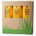  Forever Living Products 3 x Aloe Vera Gel - FLP Forever Living - Buy Online on GoSupps.com