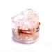 Easyinsmile Dental Orthodontic Treatment Model with Braces - Metal & Ceramic - Buy Online on GoSupps.com