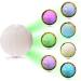 wonderfulwu Pet Toys Glow Balls LED Dog Bounce Light Up Ball for Night Play - Buy Online on GoSupps.com