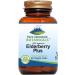 Pure Mountain Botanicals Elderberry Supplement - Vegan Kosher Capsules with 750mg Organic Elderberry and 200mg Elderflower