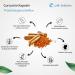 Life Solution Curcumin Capsules with Piperine - High Dosage Turmeric Supplement (120 Count) for Enhanced Absorption - Buy Internationally - Buy Online on GoSupps.com