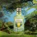 Women's Perfume Watermelon Strawberry Small Fresh Natural Lasting Light Scent 1.7oz (Forest oz) 0.2 Ounce (Pack of 5) 0.2 Ounce (Pack of 5) Forest - Buy Online on GoSupps.com