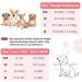 SlowTon Puppy Harness and Leash Set - Adjustable Lightweight Soft Dog Harness for Walking Training - XS Floral Pink - Buy Online on GoSupps.com