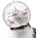 Clarful Cat Hood | Breathable Transparent Cat Muzzle | Adjustable Anti-Bite Protective Hood for Cats & Kittens - International Shipping Available - Buy Online on GoSupps.com