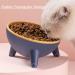 Cat Bowls Tilted Raised Cat Feeding Bowls Elevated Cat Food Water Bowl Kittens Dishes 15 Inclined Angle Cat Feeder 2PCS(Yellow+Green) 2PCS Yellow+Green - Buy Online on GoSupps.com