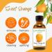 Sweet Orange Essential Oil - 100% Pure 32 fl oz | GreenHealth - Aluminum Bottle w/Plug Cap - Shop Internationally - Buy Online on GoSupps.com