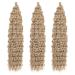 DSoar 26 Inch Deep Twist Crochet Hair - Ocean Wave Curly Bohemian Braids | 3 Packs Synthetic Hair Extensions for Women & Girls - Buy Online on GoSupps.com
