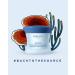 Payot - Source Adaptogen Moisturising Cream 50 ml - Buy Online on GoSupps.com
