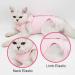 Cat Professional Recovery Suit for Abdominal Wounds or Skin Diseases  E-Collar Alternative for Cats and Dogs  After Surgery Wear  Pajama Suit Medium Pink - Buy Online on GoSupps.com