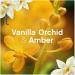 Lenor Fabric Conditioner 26 Washes 858ml Wellbeing Collection Gold Orchid Scent Pack of 2 + for You: Organza Small Bag - Buy Online on GoSupps.com