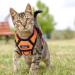 Breakproof Cat Leash Set & Adjustable Soft Kitten Vest - Reflective Stripes | Orange Small Dishes for Kittens - Buy Online on GoSupps.com