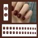 DMQ Square False Nails Short 24Pcs Red Brown Fake Nails Autumn Winter Press on Nails Glossy Full Cover Stick on Nails with Glue French Nail Tips for Women Girls Nails Art Red Brown Short - Buy Online on GoSupps.com