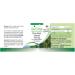 Fairvital | Pine bark extract 100mg VEGAN - Highly dosed - 60 capsules - 95% proanthocyanidins - Buy Online on GoSupps.com