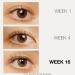 LashFood Eyelash Growth Serum | Phyto-Medic Complex | Longer Fuller Thicker Lashes | 2.5 Month Supply | Advanced Lash Treatment 0.05oz - Buy Internationally - Buy Online on GoSupps.com