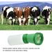 Teat Dip Cup for Goats, Cows, and Sheep - Green Milking Product - Buy Online on GoSupps.com