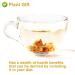 Buy Radix Codonopsis 150g - Premium Dried Dang Shen Root Herbal Tea for Vitality | International Shipping - Buy Online on GoSupps.com