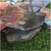 Crystal Rough Natural Crystal Rough Stone Crafts Natural Heavy Flash Labradorite Crystal Gemstone Slice Metaphysical Crystal - Buy Online on GoSupps.com