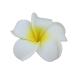 DreamLily Women's Fashion 3 Pcs Hawaiian White Plumeria Flower Foam Hair Clip Set for Beach - White - Buy Online on GoSupps.com