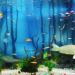 Buy Ctpeng Resin Aquarium Decoration Tree Trunk - Natural Sunken Wood Cave Ornament (23x15.5x11 cm) - Ideal for Fish Tanks - Buy Online on GoSupps.com