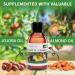 KitaMa Aroma Massage Oil - Leelawade Frangipani Body Oil 500ml | Nourishing Thai Care & Relaxation Oil for International Shipping - Buy Online on GoSupps.com