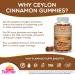 Sugar Free Ceylon Cinnamon Gummies 2000mg - Vegan & USA-Made - 90 Count - Buy Online on GoSupps.com