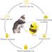 XXCOCK Interactive Cat Toy for Indoor Cats - Teaser & Puzzle Supplies | Laser Toy Birthday Gift - Buy Online on GoSupps.com