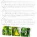 SUPVOX Horticulture 3pcs Vegetable Shaping Pots for Plants Garden Vegetable Growth Forming Fruit Pizza - Buy Online on GoSupps.com