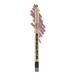 Wibo Lip Pencil Million Dollar 06