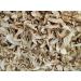 WENXUANSU:1 Pound (454 grams) Dried Matsutake Slices Mushroom Premium Grade