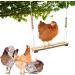 Dciustfhe Chicken Swing Toy for Natural Safe Wooden Accessories Durable Perch Ladder for Poultry Run Rooster Hens - Buy Online on GoSupps.com