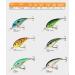 Bomber Lures Fat Free Shad Crankbait Bass Fishing Lure - Emerald Sparkle (2 3/8 inches, 3/8 oz) - Buy Online on GoSupps.com