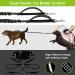 ETACCU Hands Free Dual Dog Lead for Running, Walking & Jogging - Adjustable Waist Belt with Traffic Handle - Reflective Stitching - Ideal for 2 Dogs - Buy Online on GoSupps.com