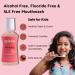Spicta Mouthwash Peach Mint | Powered by Fitkari (Alum) | Fluoride Free | Alcohol Free | SLS & Paraben Free | Freshens Breath Prevents Plaque (250 ml) - Buy Online on GoSupps.com