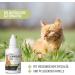 Reavet Ear Mite Oil for Cats 50ml - Effective Chamomile Formula for Itchy Ears & Ear Mite Relief - Buy Online on GoSupps.com