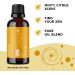 Focus Essential Oil Blend - Mint and Citrus Aromatherapy for Energy and Attention Support - Buy Online on GoSupps.com
