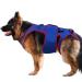 Dog Spine Support- Dog Hip Support Brace Dog Rehabilitation Clothing | Spine Support Clothing Waist Protection Auxiliary Belt Reflective Strips Dog Back Brace for Dogs Back (26x48 Cm)