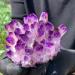 Purpl Phantom Quartz Crystal Cluster Specimen 400g Suitable for Home HOMEZHOU - Buy Online on GoSupps.com